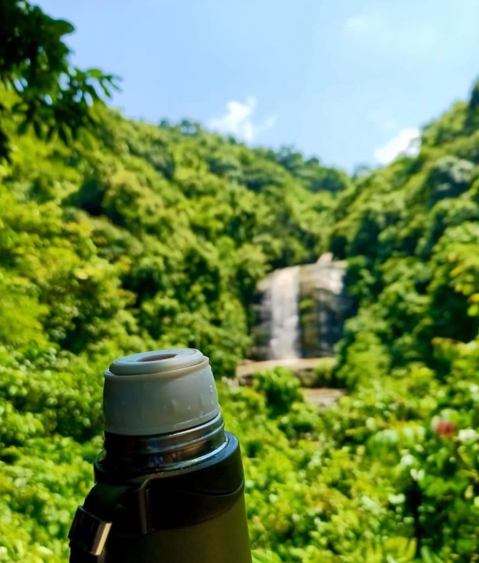 Nature is the Best Physician: A Prescription for Mental Well-being