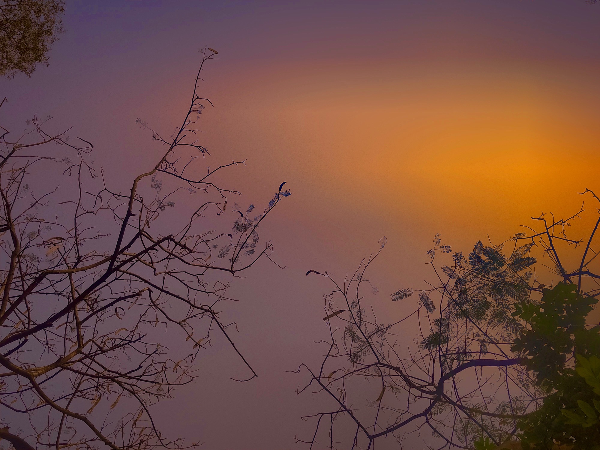 What I’d Ask the Universe, If It Ever Listened