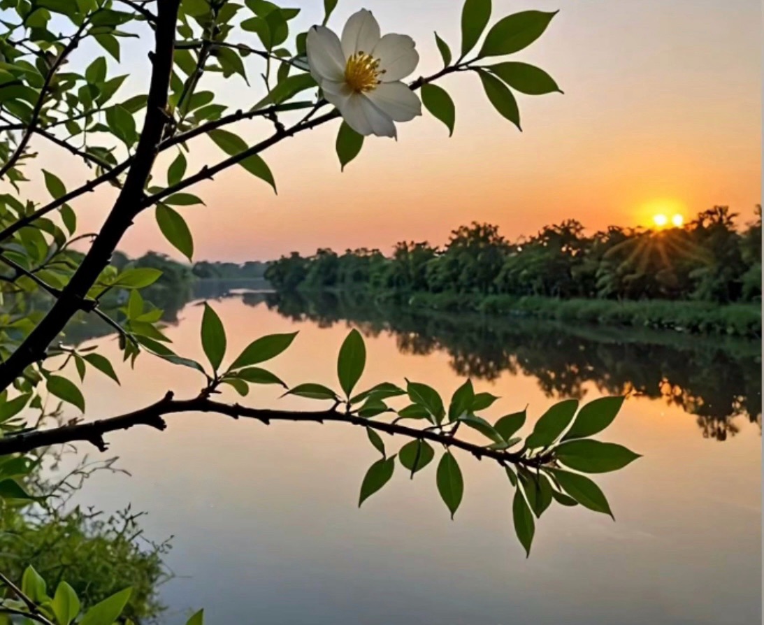 Where Stillness Teaches What Noise Cannot