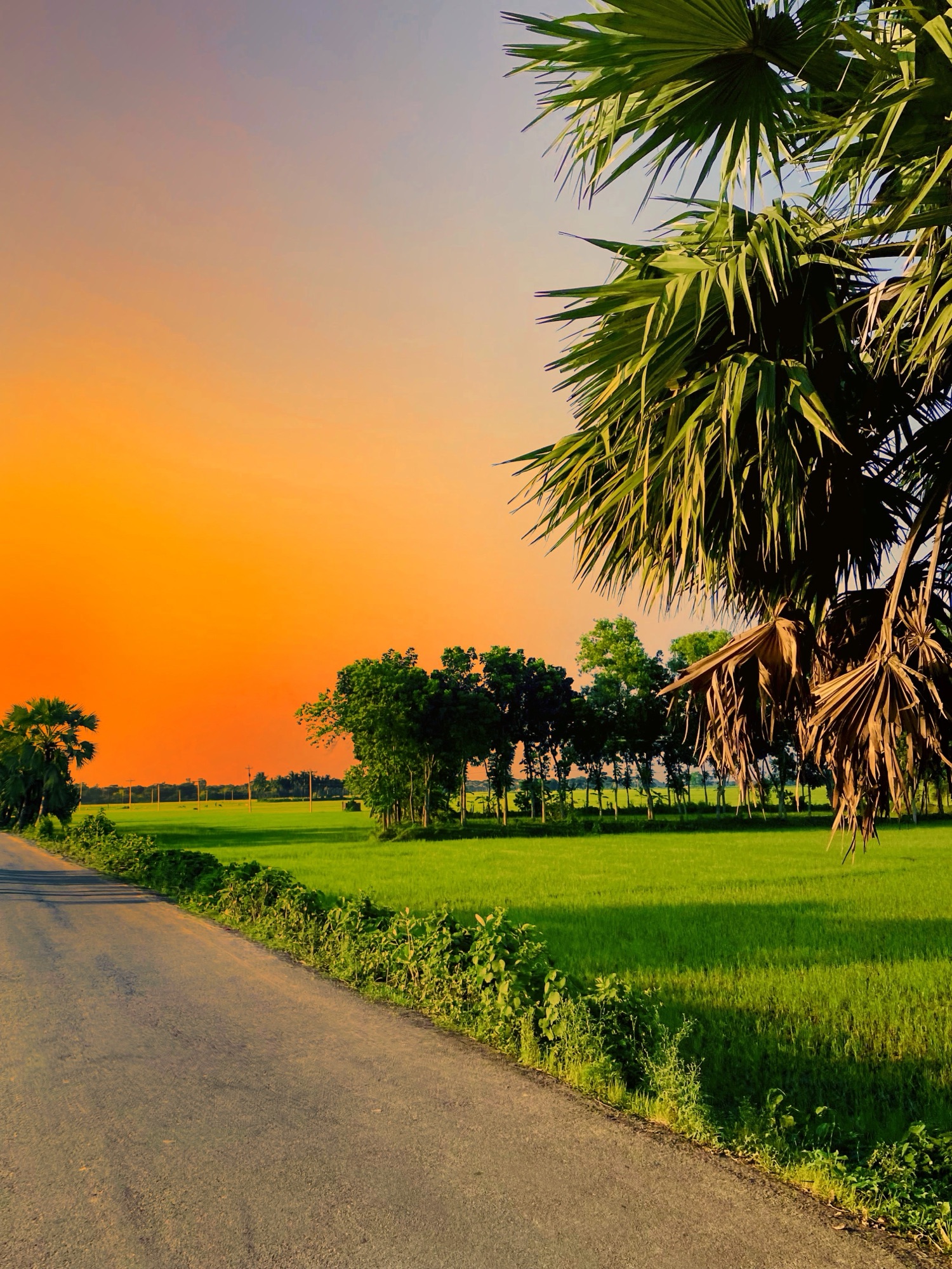 The Language of Gratitude: A Smile and a Kind Heart