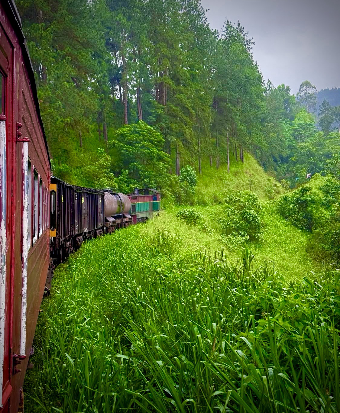 Self-realization begins where the paved road ends.