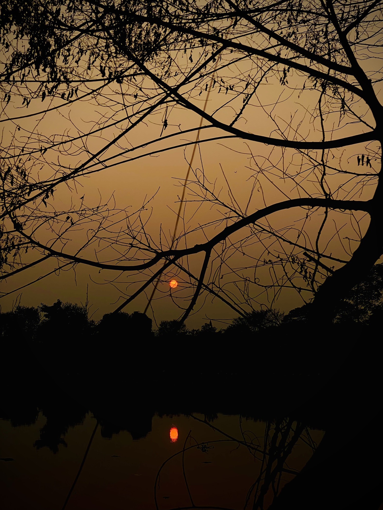 The Fear: Admitting you don’t have all the