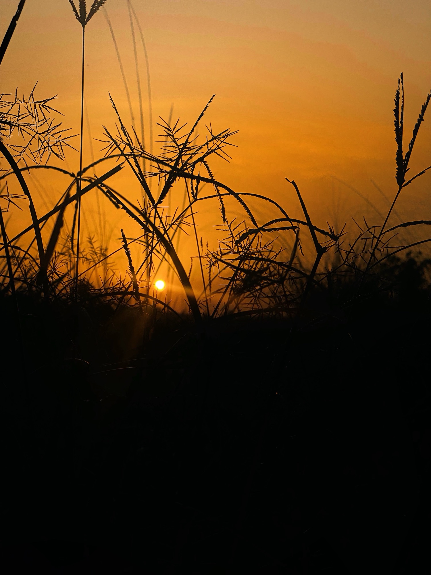 The Years I Would Re-Live