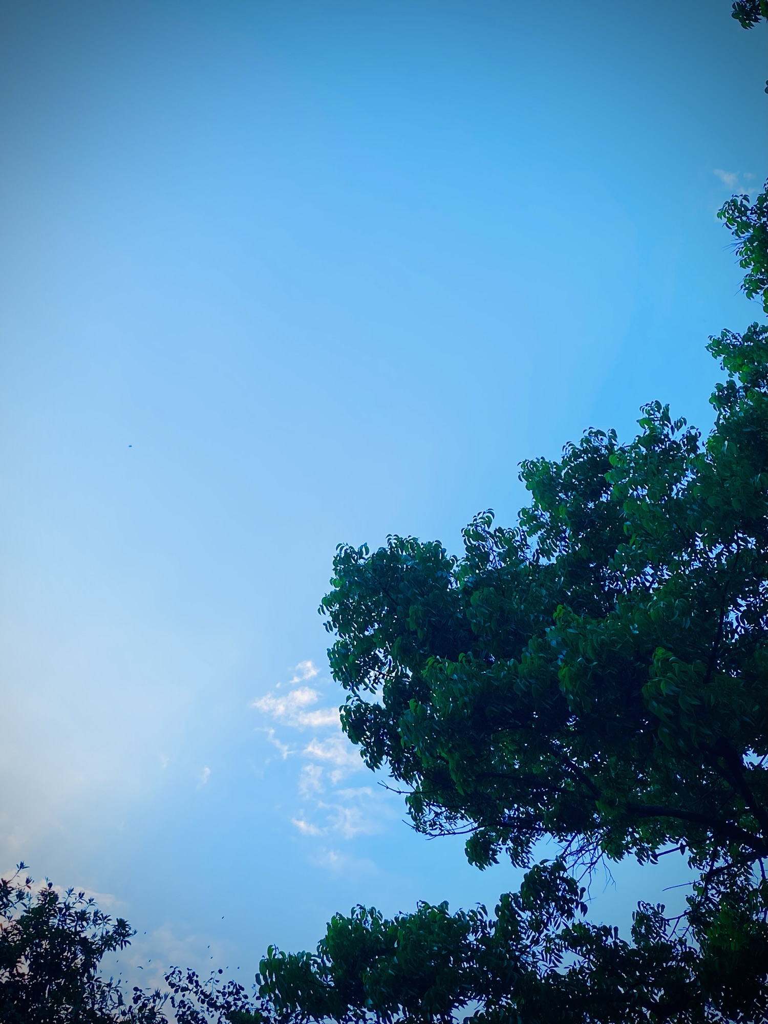 Mapping the Silent Geography of Grief