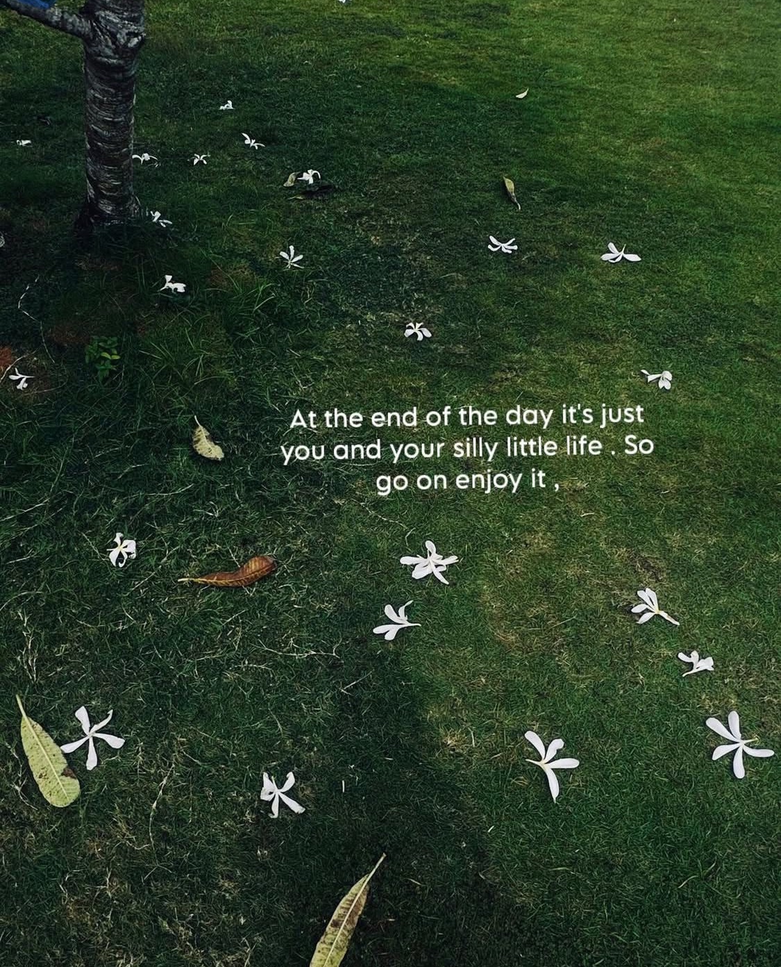 The Sculptor’s Chisel and the Art of the No